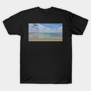 2 Falcons Over Falcon Lake T-Shirt